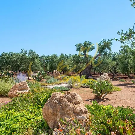 Td Lamia Porta Rossa, Countryside With Olive Trees Apartman